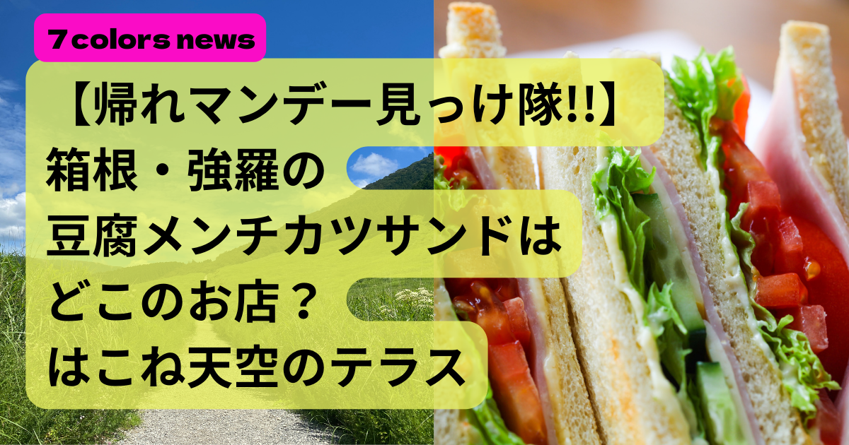 【帰れマンデー】箱根・強羅の豆腐メンチカツサンドはどこのお店？はこね天空のテラス